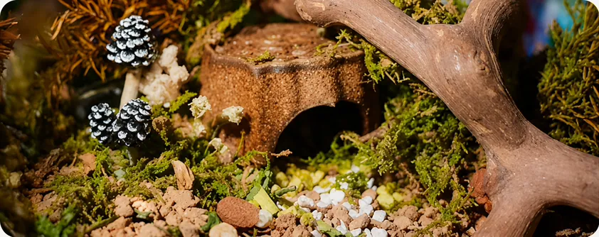 A moss and driftwood hamster enclosure